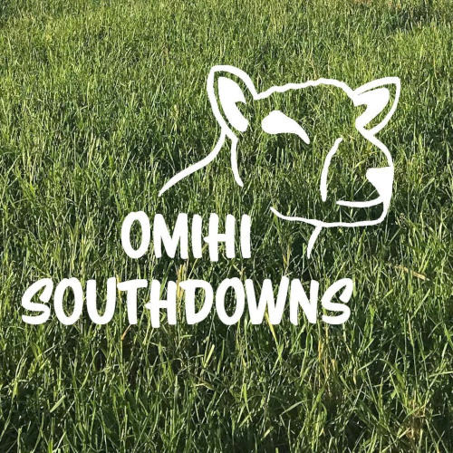 Omihi Southdowns